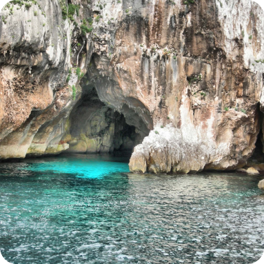 Grotta di Nettuno – Un Meraviglioso Mondo Sottomarino